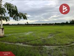 ขายที่ดิน เนื้อที่ 5 ไร่ 2 งาน 73 ตารางวา หาดเจ้าสำราญ เพชรบุรี