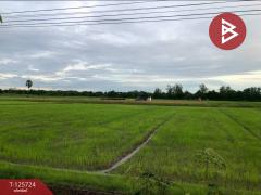 ขายที่ดิน เนื้อที่ 5 ไร่ 2 งาน 73 ตารางวา หาดเจ้าสำราญ เพชรบุรี-202511041443491762242229610.jpg