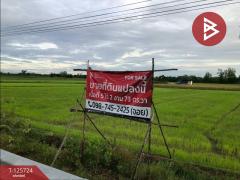 ขายที่ดิน เนื้อที่ 5 ไร่ 2 งาน 73 ตารางวา หาดเจ้าสำราญ เพชรบุรี-202511041443501762242230227.jpg