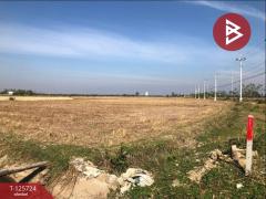 ขายที่ดิน เนื้อที่ 5 ไร่ 2 งาน 73 ตารางวา หาดเจ้าสำราญ เพชรบุรี-202511041443511762242231957.jpg