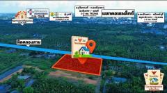 ขายที่ดินแปลงสวย ต.บางตีนเป็ด อ.เมือง จ.ฉะเชิงเทรา เนื้อที่ 3 ไร่ 9 ตร.ว. โทร 081-435-2828-202511041444511762242291282.jpg