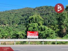 ขายที่ดิน เนื้อที่ 8 ไร่ 96.2 ตร.วา เทิง เชียงราย