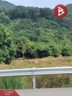 ขายที่ดิน เนื้อที่ 8 ไร่ 96.2 ตร.วา เทิง เชียงราย-202511041446281762242388090.jpg