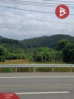 ขายที่ดิน เนื้อที่ 8 ไร่ 96.2 ตร.วา เทิง เชียงราย-202511041446291762242389533.jpg