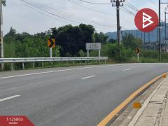 ขายที่ดิน เนื้อที่ 8 ไร่ 96.2 ตร.วา เทิง เชียงราย-202511041446301762242390096.jpg