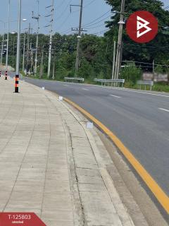 ขายที่ดิน เนื้อที่ 8 ไร่ 96.2 ตร.วา เทิง เชียงราย-202511041446301762242390672.jpg