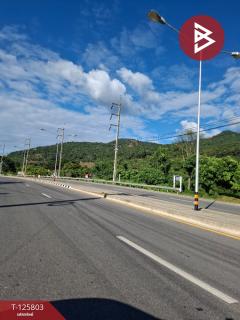 ขายที่ดิน เนื้อที่ 8 ไร่ 96.2 ตร.วา เทิง เชียงราย-202511041446331762242393539.jpg