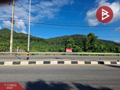 ขายที่ดิน เนื้อที่ 8 ไร่ 96.2 ตร.วา เทิง เชียงราย-202511041446341762242394121.jpg