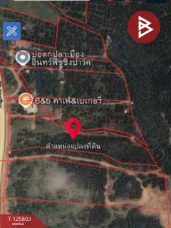 ขายที่ดิน เนื้อที่ 8 ไร่ 96.2 ตร.วา เทิง เชียงราย-202511041446341762242394714.jpg
