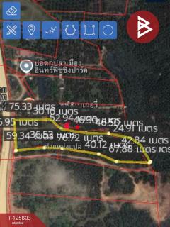 ขายที่ดิน เนื้อที่ 8 ไร่ 96.2 ตร.วา เทิง เชียงราย-202511041446351762242395328.jpg