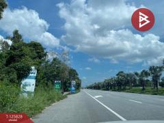 ขายโครงการบ้านพูลวิลลา เนื้อที่ 1 ไร่ 83 ตร.วา ริมทะเล บางละมุง ชลบุรี-202511041504251762243465695.jpg