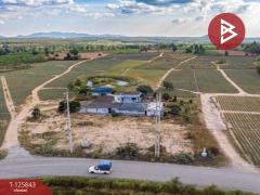 ขายที่ดิน เนื้อที่ 54 ไร่ 1 งาน 19 ตร.วา บางละมุง ชลบุรี-202511041513021762243982363.jpg