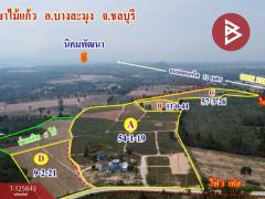 ขายที่ดิน เนื้อที่ 54 ไร่ 1 งาน 19 ตร.วา บางละมุง ชลบุรี-202511041513021762243982937.jpg