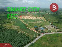 ขายที่ดิน เนื้อที่ 54 ไร่ 1 งาน 19 ตร.วา บางละมุง ชลบุรี-202511041513031762243983497.jpg