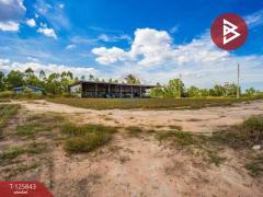 ขายที่ดิน เนื้อที่ 54 ไร่ 1 งาน 19 ตร.วา บางละมุง ชลบุรี-202511041513041762243984059.jpg