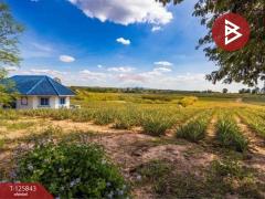 ขายที่ดิน เนื้อที่ 54 ไร่ 1 งาน 19 ตร.วา บางละมุง ชลบุรี-202511041513041762243984609.jpg