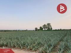 ขายที่ดิน เนื้อที่ 54 ไร่ 1 งาน 19 ตร.วา บางละมุง ชลบุรี-202511041513051762243985322.jpg