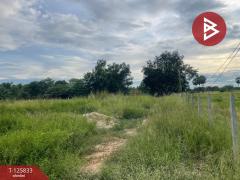 ขายที่ดิน เนื้อที่ 1 ไร่ ประโคนชัย บุรีรัมย์