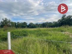 ขายที่ดิน เนื้อที่ 1 ไร่ ประโคนชัย บุรีรัมย์-202511041517201762244240676.jpg