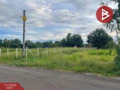 ขายที่ดิน เนื้อที่ 1 ไร่ ประโคนชัย บุรีรัมย์-202511041517211762244241248.jpg