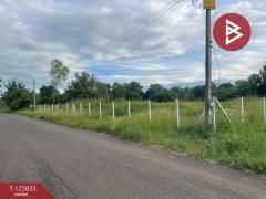 ขายที่ดิน เนื้อที่ 1 ไร่ ประโคนชัย บุรีรัมย์-202511041517211762244241785.jpg