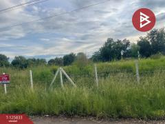 ขายที่ดิน เนื้อที่ 1 ไร่ ประโคนชัย บุรีรัมย์-202511041517221762244242321.jpg