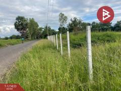 ขายที่ดิน เนื้อที่ 1 ไร่ ประโคนชัย บุรีรัมย์-202511041517221762244242861.jpg