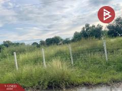 ขายที่ดิน เนื้อที่ 1 ไร่ ประโคนชัย บุรีรัมย์-202511041517231762244243405.jpg