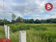 ขายที่ดิน เนื้อที่ 1 ไร่ ประโคนชัย บุรีรัมย์-202511041517231762244243945.jpg