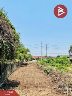 ขายที่ดินทำเลดีฯ เนื้อที่ 51 ตร.วา บ้านโป่ง ราชบุรี-202511041522351762244555020.jpg