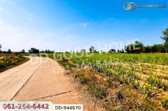 DD-944670 ที่ดินโคกกลาง 45 ไร่ 387 ตร.ว. โนนสะอาด อุดรธานี ใกล้สำนักงานสาธารณสุขอำเภอโนนสะอาด-202511041607171762247237162.jpg