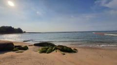 CM40 ให้เช่า/ขาย พูลวิลล่า 8 หลัง + 1 ร้านอาหาร เดินลงทะเลได้ ติดปราสาทสัจธรรม เหมาะสำหรับนักลงทุน ที่ต้องการทำพูลวิลล่า Cafe Restaurant.-202511041637591762249079780.jpg