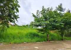 ขายที่ดินสวย บางบัวทอง 3 งาน 20 ตรว. ทำเลดี ถนนวัดลาดปลาดุก ใกล้ เซ็นทรัล เวสต์เกต -202511041817451762255065342.jpg