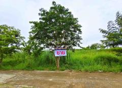 ขายที่ดินสวย บางบัวทอง 3 งาน 20 ตรว. ทำเลดี ถนนวัดลาดปลาดุก ใกล้ เซ็นทรัล เวสต์เกต -202511041817451762255065960.jpg