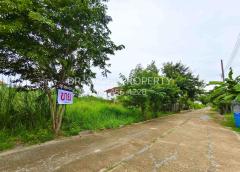 ขายที่ดินสวย บางบัวทอง 3 งาน 20 ตรว. ทำเลดี ถนนวัดลาดปลาดุก ใกล้ เซ็นทรัล เวสต์เกต -202511041817471762255067173.jpg