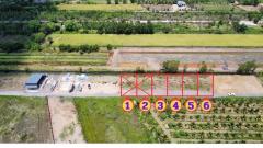 ที่ดินผ่อนตรงเจ้าของ4ปีไม่มีดอกเบี้ยขายถูกถมปรับแล้ว100ตรว4.5แสนคลอง11ปทุมธานีติดถนนเขตชุชนดาว1แสนผ่อน4ปีวางดาวใช้พื้ที่ได้เลยโฉนดครุฑแดง