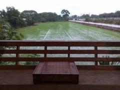 สนใจมีที่สวยๆสักแปลงโซนนี้ไหม  ให้เช่าบ้านไม้ถ่ายหนังถ่ายละคร MV โฆษณา หนังสั้น คอนเท้นท์ บ้านสวยวิวทุ่งนา ไทรน้อย 0968821857