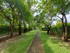 ขายบ้านเดี่ยว 2 ชั้น หมู่บ้านคณาสิริ บางนา -202511050947281762310848366.jpg