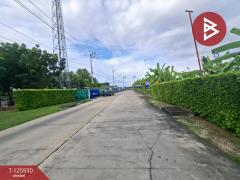 ขายบ้านเดี่ยว หมู่บ้านมาย-กรีน @พานทอง-อมตะ พนัสนิคม ชลบุรี-202511051047091762314429847.jpg