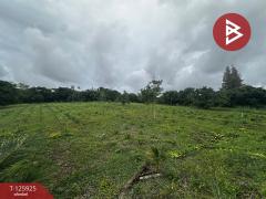 ขายบ้านเดี่ยวพร้อมที่ดิน เนื้อที่ 13 ไร่ 44 ตร.วา โป่งน้ำร้อน จันทบุรี-202511051106311762315591308.jpg