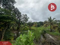 ขายบ้านเดี่ยวพร้อมที่ดิน เนื้อที่ 13 ไร่ 44 ตร.วา โป่งน้ำร้อน จันทบุรี-202511051106311762315591986.jpg