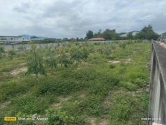 ขายที่ดินทำเลศักยภาพ 4 ไร่ พร้อมผู้เช่า-202511051136401762317400154.jpg