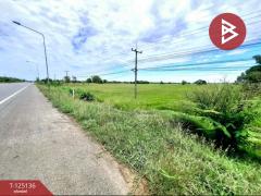 ขายที่ดินเปล่า เนื้อที่ 5 ไร่ 2 งาน 78 ตารางวา จังหาร ร้อยเอ็ด-202511051144221762317862776.jpg