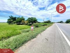 ขายที่ดินเปล่า เนื้อที่ 5 ไร่ 2 งาน 78 ตารางวา จังหาร ร้อยเอ็ด-202511051144231762317863314.jpg