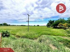 ขายที่ดินเปล่า เนื้อที่ 5 ไร่ 2 งาน 78 ตารางวา จังหาร ร้อยเอ็ด-202511051144241762317864897.jpg