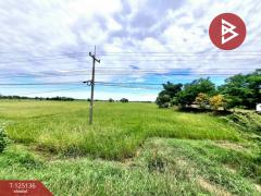 ขายที่ดินเปล่า เนื้อที่ 5 ไร่ 2 งาน 78 ตารางวา จังหาร ร้อยเอ็ด-202511051144251762317865967.jpg