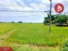 ขายที่ดินเปล่า เนื้อที่ 5 ไร่ 2 งาน 78 ตารางวา จังหาร ร้อยเอ็ด-202511051144261762317866499.jpg