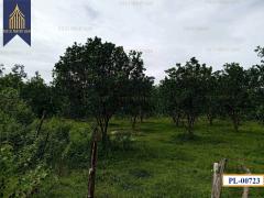 ที่ดิน อำเภอ เถิน จังหวัด ลำปาง 35 ไร่ติดถนนสายเอเชียและแม่น้ำวังพัฒนา-202511051205521762319152312.jpg