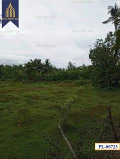 ที่ดิน อำเภอ เถิน จังหวัด ลำปาง 35 ไร่ติดถนนสายเอเชียและแม่น้ำวังพัฒนา-202511051205531762319153160.jpg