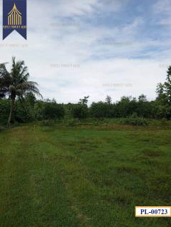 ที่ดิน อำเภอ เถิน จังหวัด ลำปาง 35 ไร่ติดถนนสายเอเชียและแม่น้ำวังพัฒนา-202511051205531762319153689.jpg